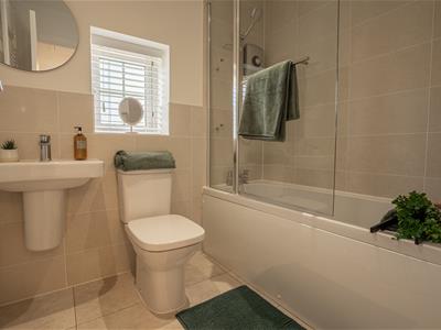 Picture 21